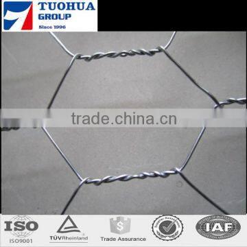 Top Quality Hexagonal Wire Netting/Galvanized Hexagonal Wire Mesh