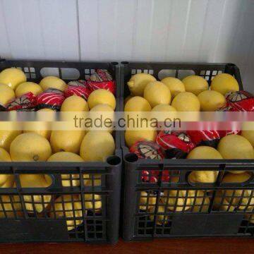 fresh lemon