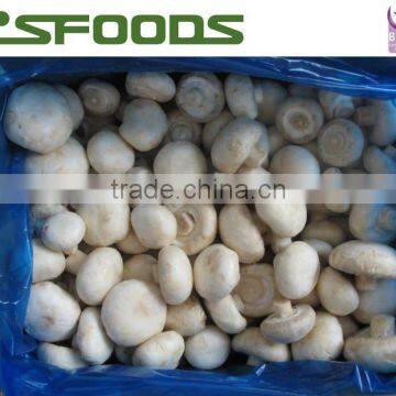 IQF Frozen Button Mushroom Milky Mushroom White Mushroom