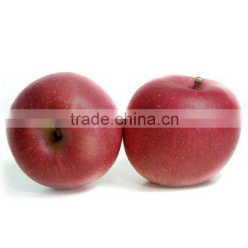 88# Fresh Fuji Apple photo-3