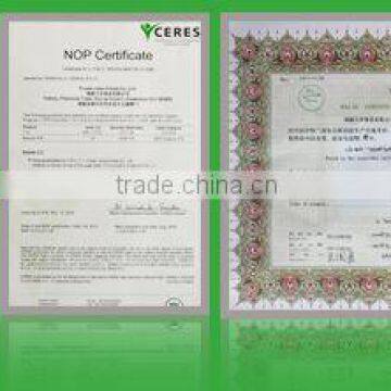 FD Carrot Sliced photo-5