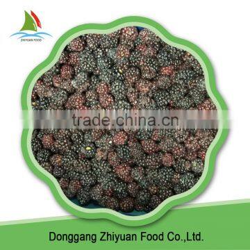 Frozen Blackberry photo-5