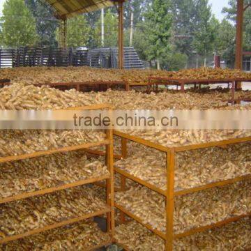 Fresh Air Dried Ginger photo-4
