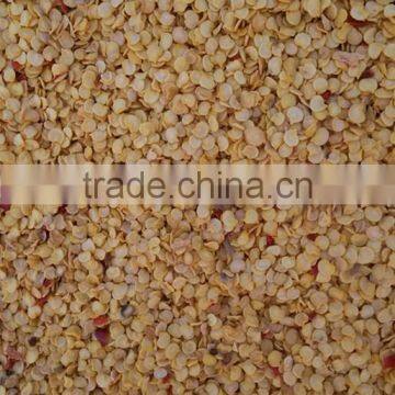 China Chilli Wholesalers Best Price Chilli Seed Hybrid Chilli Seeds Red Hot Chili Seeds