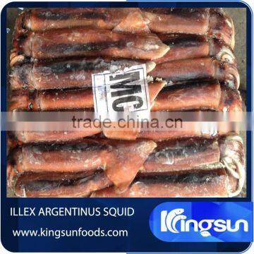 Frozen argentinus argentina illex squid exporter