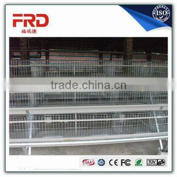 chicken farm equipment of suitable for 4tire chicken cage 128bird-160bird/set Model Poultry Cage