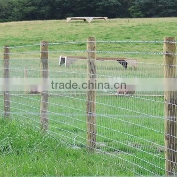 horse fences/farm fence/field fences