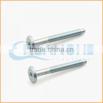 China Factory Sales Carbon Decorative Furniture Screws and Nuts photo-4