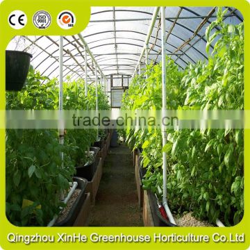 Best Price Greenhouse Hydroponic Systems For Agriculture