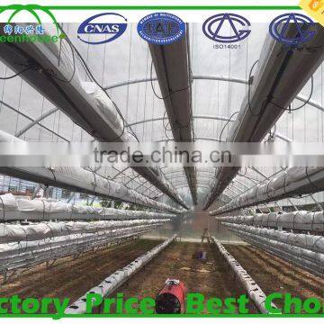 Poly Tunnel Greenhouses Manufacture Supplier photo-3