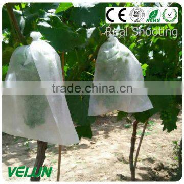 Nonwoven Fabric for Agriculture