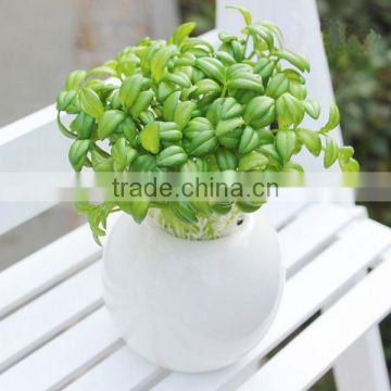 Artificial potted plant plastic artificial ornamental plants