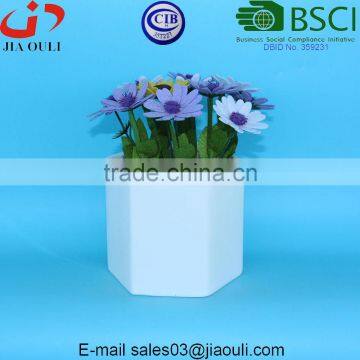 Hexagon White Ceramic Plant Pots Succulent Planters photo-3