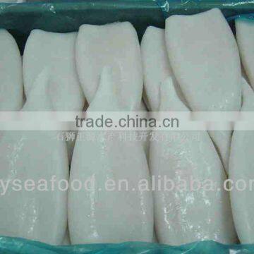 Frozen Argentina Squid Products photo-4