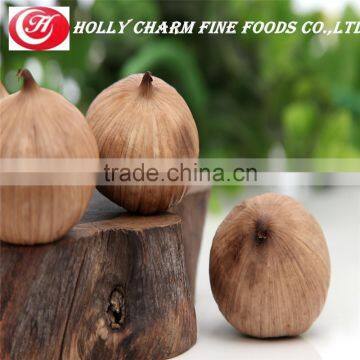 Best selling low price natural fermented solo black garlic seeds