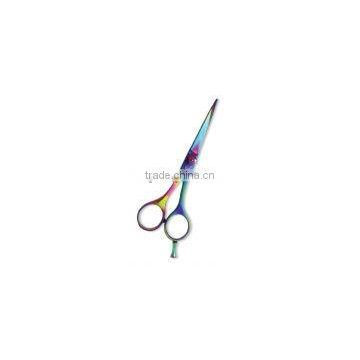 Professional Hair Cutting Scissor