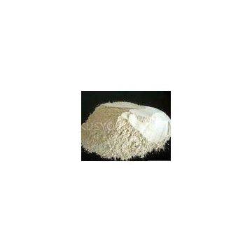 300 Mesh Sodium Bentonite Acid Proof For Coating / Paints / Pigment