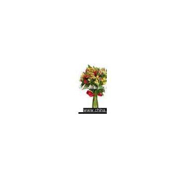Simply Roses Long Dozen Cut Flowers