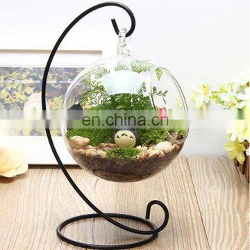 terrarium glass terrarium round clear glass globe ball terrarium Planters Container Glass Flower Vase