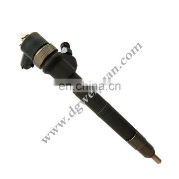 original Common Rail Injector 110317