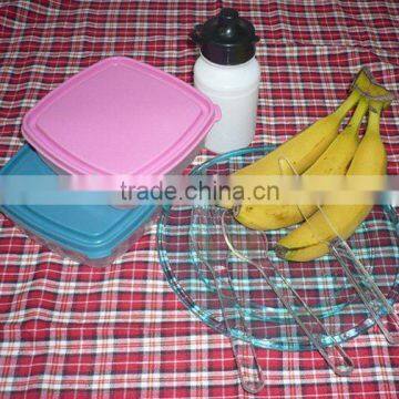 plastic picnic set