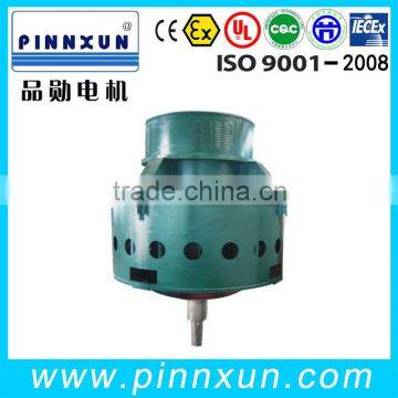 electric motor 6600v