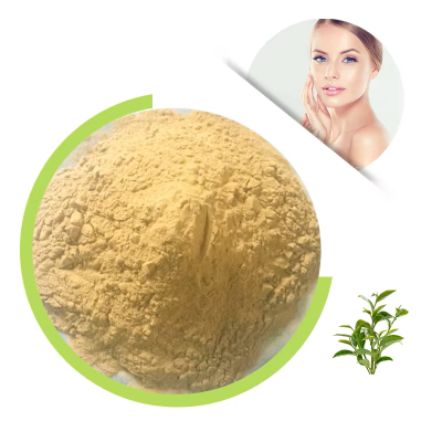 Manufacture Supply Green Tea Leaf Extract EGCG 25% 40% 50%, EGCG Green Tea Lea Powder