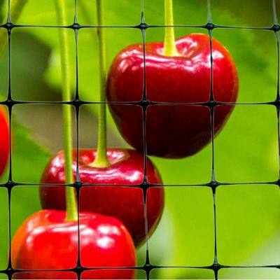 Pond & Bird Protective Netting Black 14ft X 14ft Strong and Durable