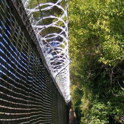 Direct Manufacturer Galvanized PVC Stainless Steel Razor Barbed Wire Plate Razor Barbed Wire photo-4