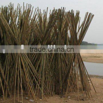 BAMBOO POLES