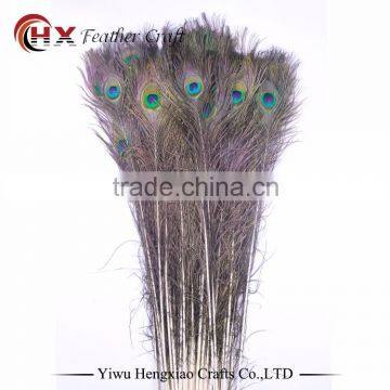 Factory Wholesale hobby lobby peacock feathers decoration