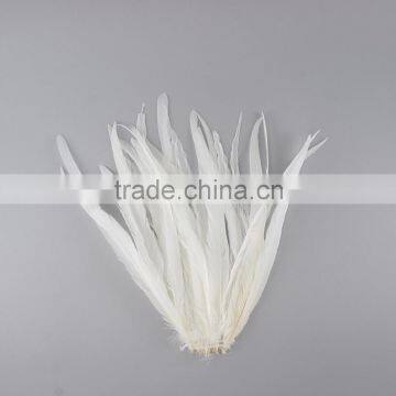 wholesale 65-70cm rooster tail feather, colour ostrich feather