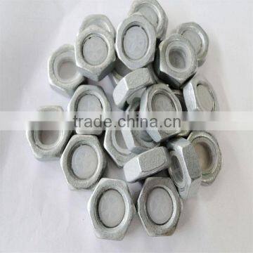 Special Nut and Bolt Top Sale Hex Thin Nut photo-5