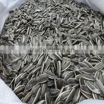 2013 crop China sunflower seed