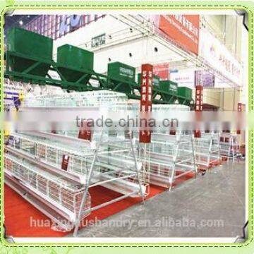 chicken coop about layer and broiler equipment