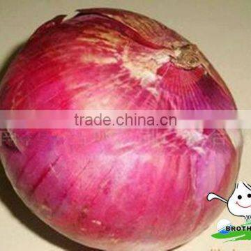 Fresh Red Onion