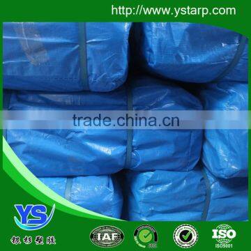 Ground Sheet photo-5