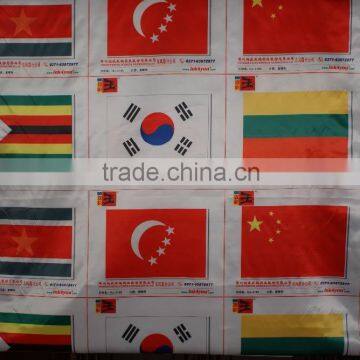 Ost Popular MEPSON 5113 Head Banner Direct Printing Printer for Flags Direct Printing photo-6