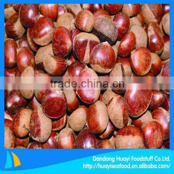 100% natural green crop raw chesnut with shell