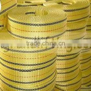 Polyester Webbing photo-2
