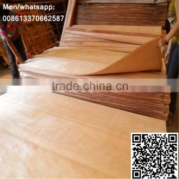 Red Olive Veneer photo-4
