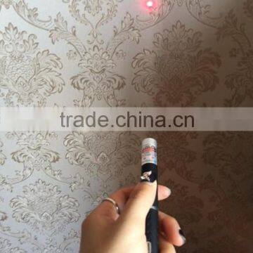 Wholesale Light Beam Red Laser Pointer Pen beam