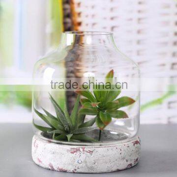 Glass vase with hole and cement base for plant