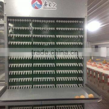 Hot-sale Chicken Cage Equipments for Egg Chicken photo-5