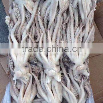 2016 hot sale Frozen Squid head of the tentacle with eye and mouth