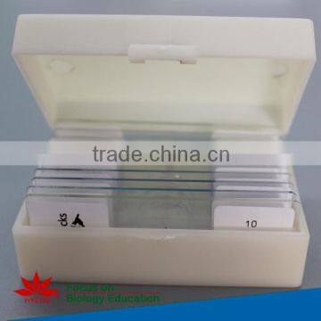 Mixed set prepared slides medical parasite microscope slides set