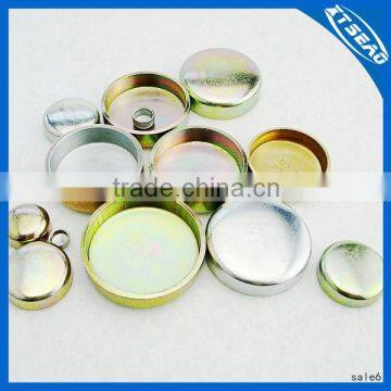 Engine camshaft expansion plugs