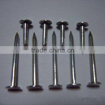 hot dipped galvanized common nail