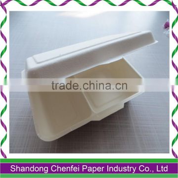 Sugarcane pulp compostable disposable food storage containers