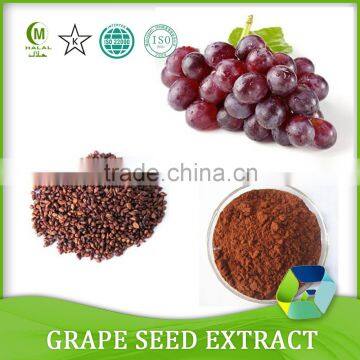 95% Proanthocyanidins grape seed extract/grapeseed extract powder antioxidant